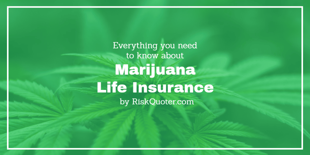 marijuana life insurance
