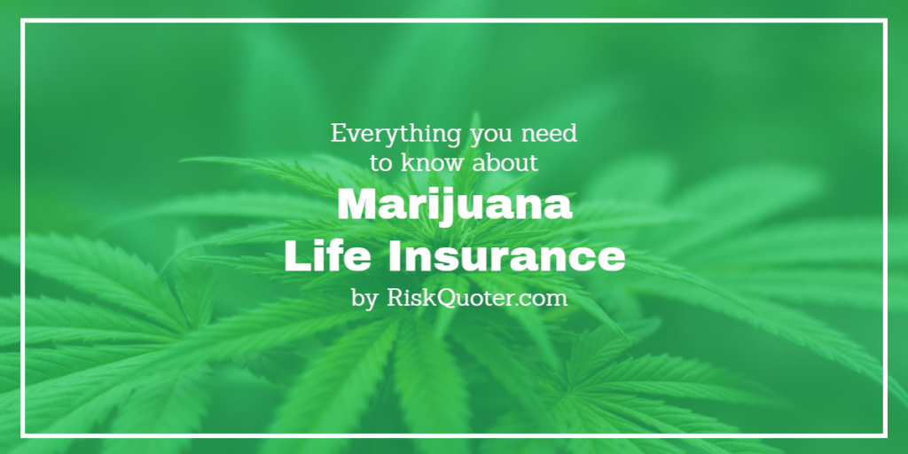 marijuana life insurance